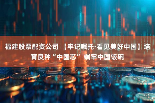 福建股票配资公司 【牢记嘱托·看见美好中国】培育良种“中国芯” 端牢中国饭碗